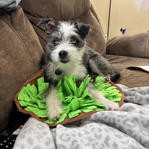 Fundraising Page: Robin Hersey